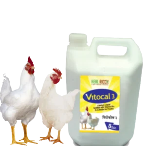 Vitocal 3 (Calcium Liquid Fortified with Vitamin B₁₂, D₃ & Biotin) 5L