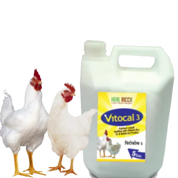 Vitocal 3 (Calcium Liquid Fortified with Vitamin B₁₂, D₃ & Biotin) 5L